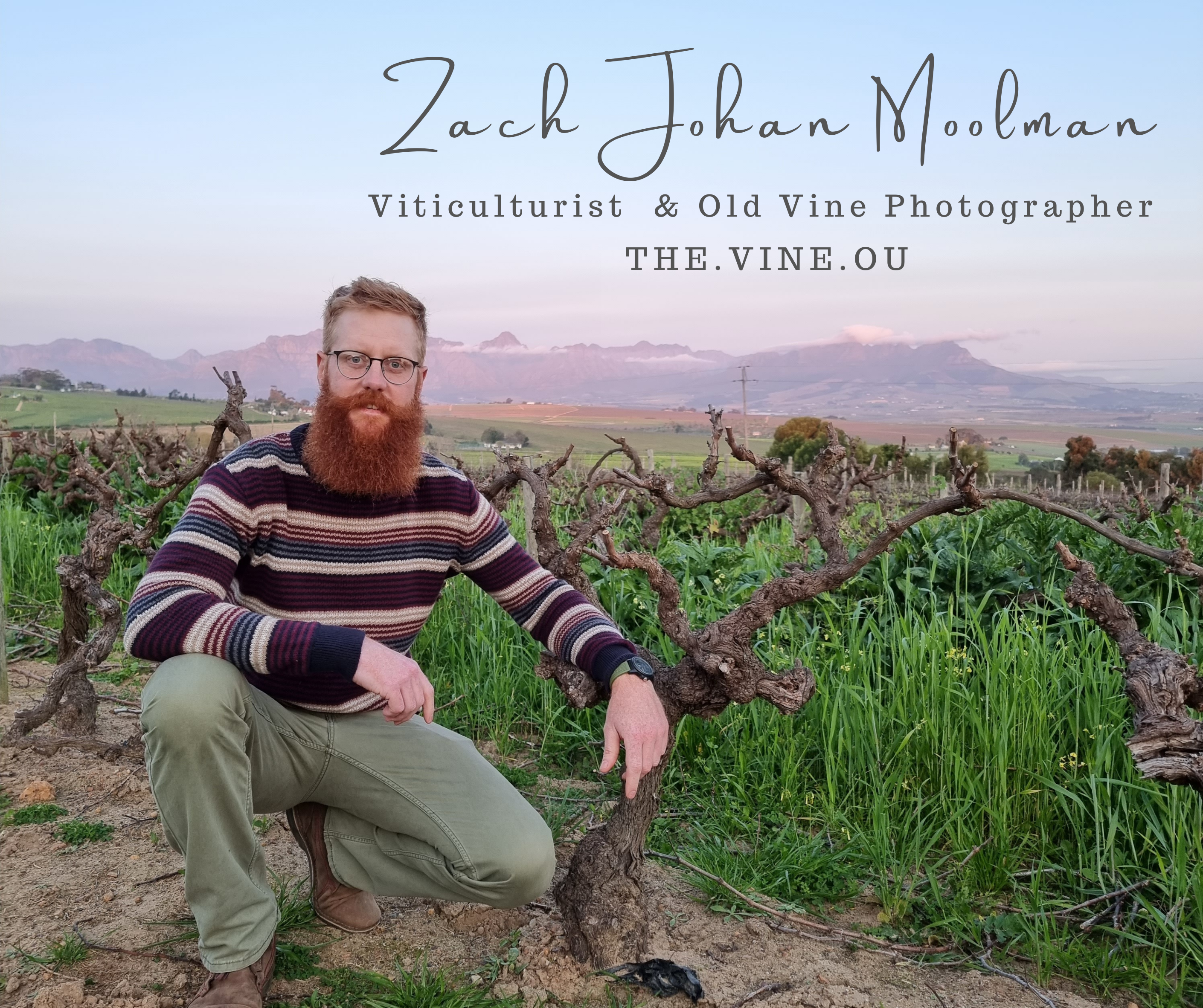 Zach Johan Moolman Viticulturist & Old Vine Photographer